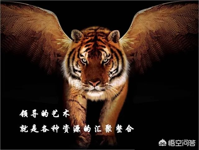 新任的单位一把手，如何看待主动靠近你并积极汇报的下属人员？