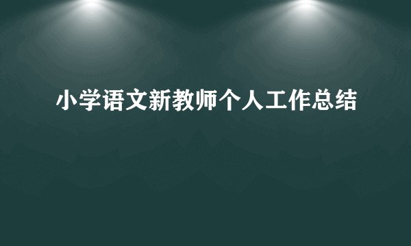 小学语文新教师个人工作总结