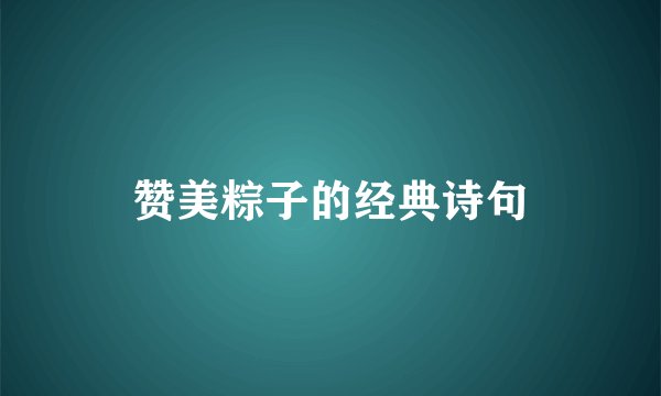 赞美粽子的经典诗句