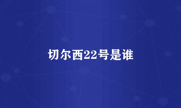 切尔西22号是谁