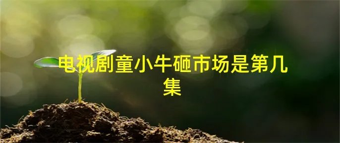 电视剧童小牛砸市场是第几集