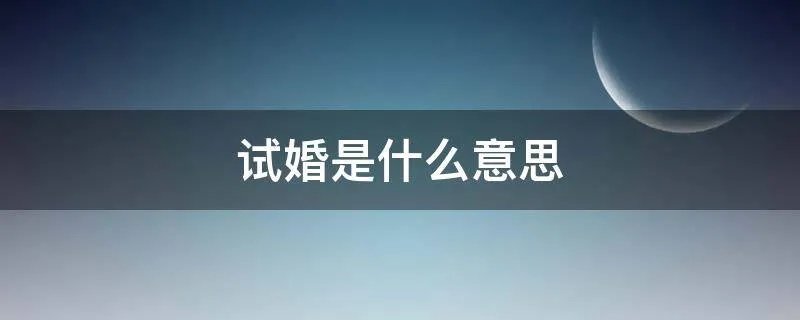 试婚是什么意思