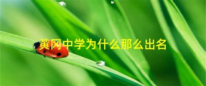 黄冈中学为什么那么出名