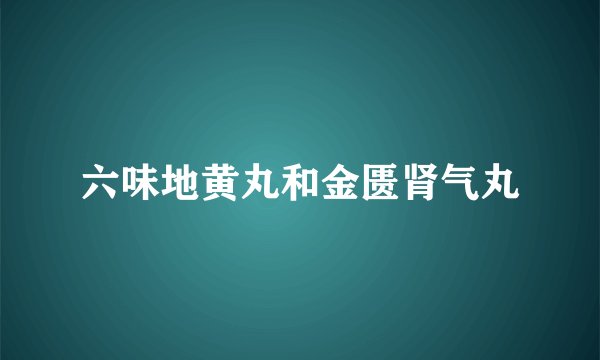 六味地黄丸和金匮肾气丸
