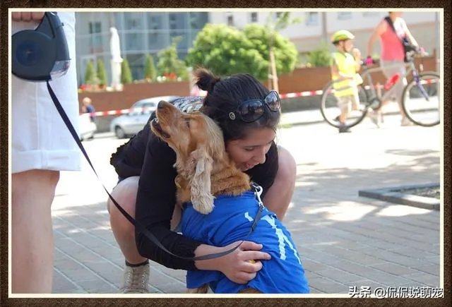 为什么我家狗狗每次突然见到主人我，都会尿失禁？