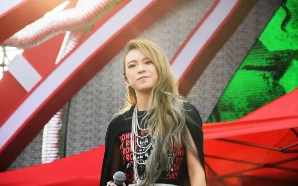 张芸京偏爱的含义