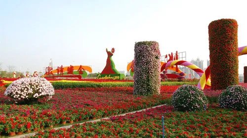 花城是哪个城市 花城是怎么得名的