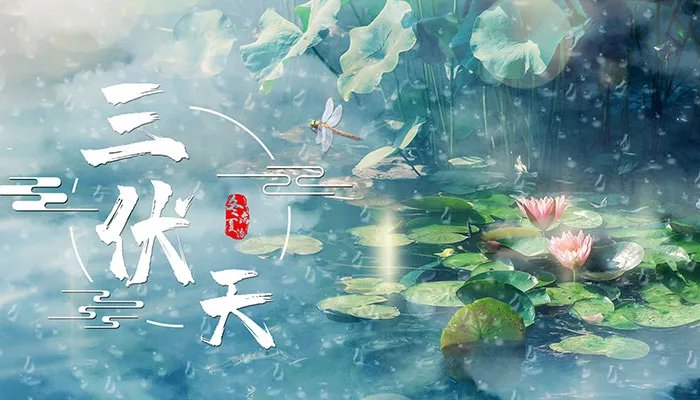 中伏多少天 2022年中伏多少天