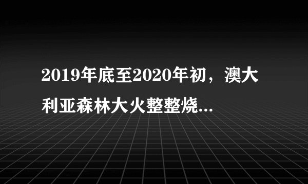 2019年底至2020年初，澳大利亚森林大火整整烧了多少个月才熄灭？