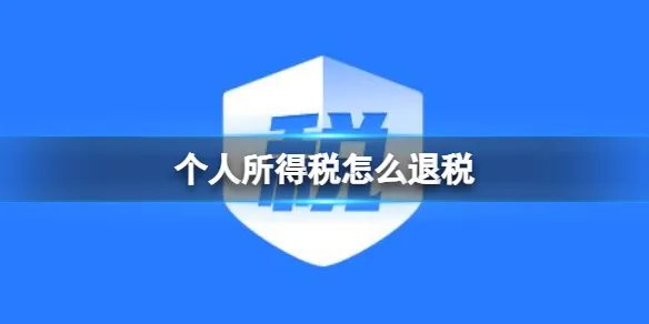 个人所得税怎么退税 个人所得税退税操作流程