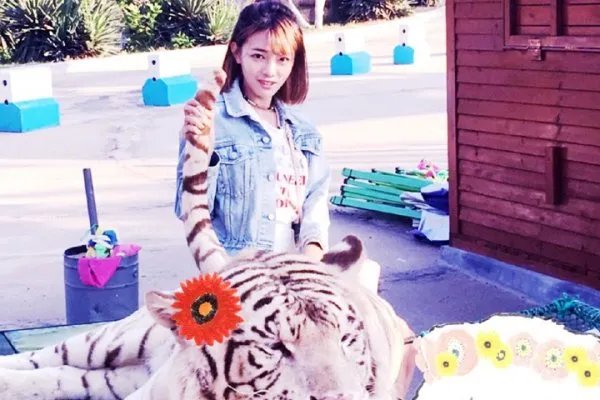 王梓芠的演员之路在经过这个“小三事件”之后是不是彻底断绝了？