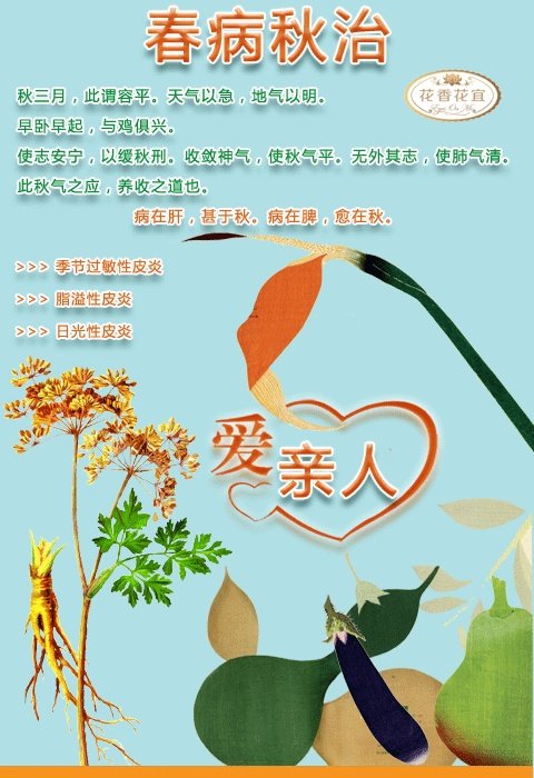 花香花宜的介绍