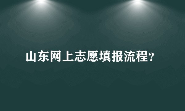 山东网上志愿填报流程？