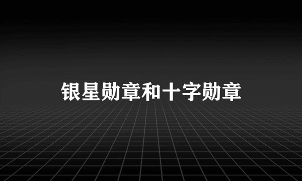 银星勋章和十字勋章