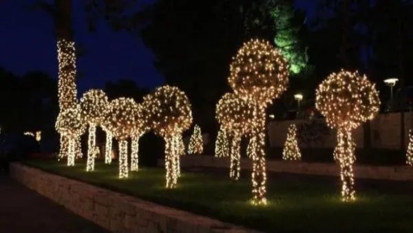 LED树灯有哪些特点呢？