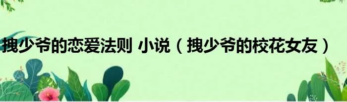 拽少爷的恋爱法则 小说（拽少爷的校花女友）