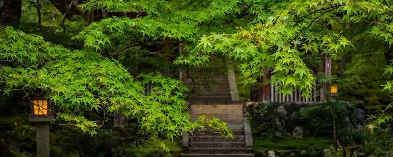 破山寺就是今江苏什么境内著名的佛寺禅院