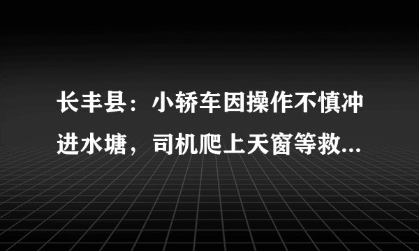 长丰县：小轿车因操作不慎冲进水塘，司机爬上天窗等救援, 你怎么看？
