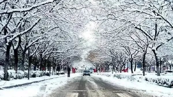 南京的雪不是“一骗再骗”,未来将会有几级大暴雪?