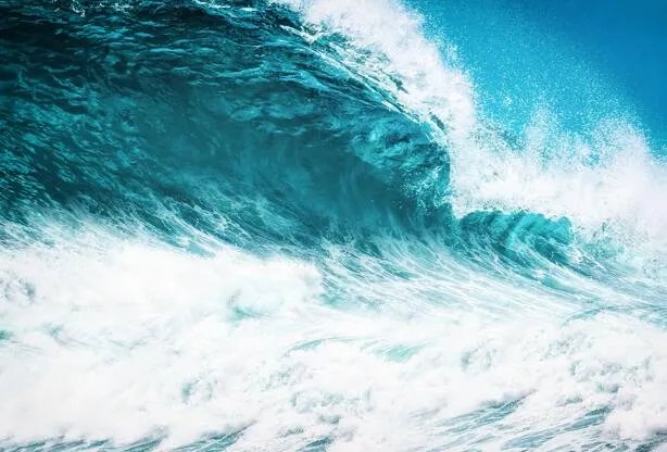 地球最北岛屿被意外发现 位于欧达克岛以北780米处