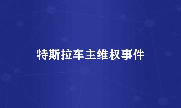特斯拉车主维权事件