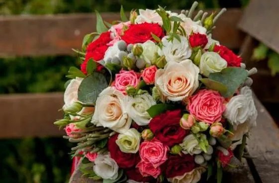 99朵玫瑰花语是什么 玫瑰花语每朵代表什么