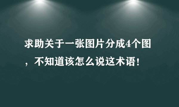 求助关于一张图片分成4个图，不知道该怎么说这术语！