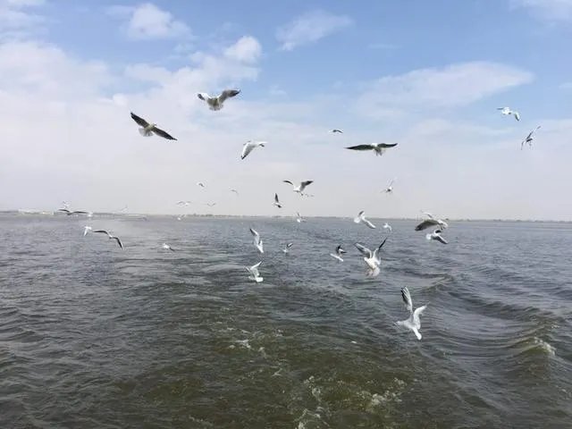 贾跃亭要告我,9日在美国第二次开庭,我该怎么办?