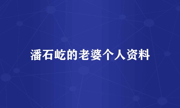 潘石屹的老婆个人资料