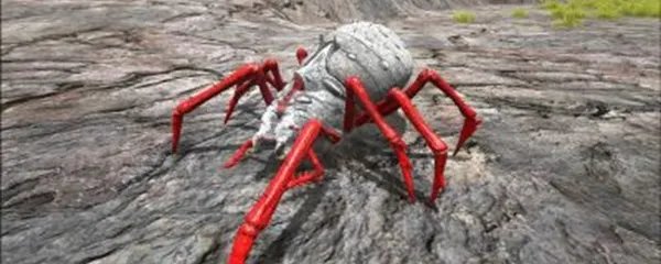 方舟生存进化蜘蛛怎么驯服