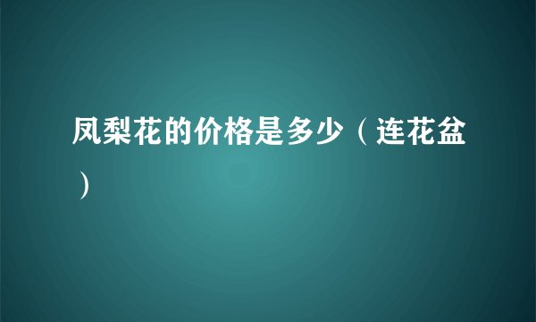 凤梨花的价格是多少（连花盆）