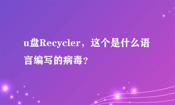 u盘Recycler，这个是什么语言编写的病毒？