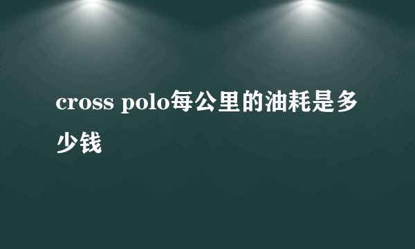 cross polo每公里的油耗是多少钱
