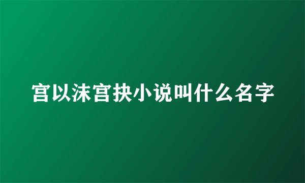宫以沫宫抉小说叫什么名字