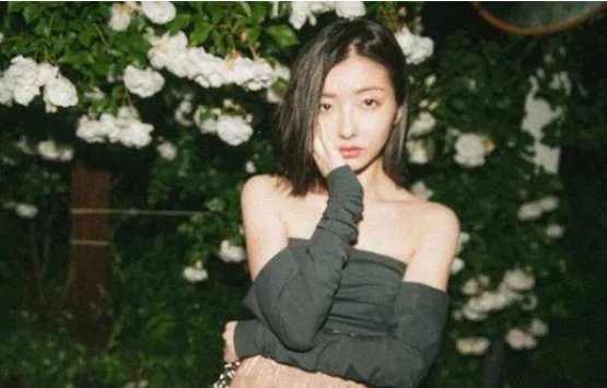 同样是王思聪的前女友，雪梨是凭借什么自创品牌，身价过亿成为豪门网红？