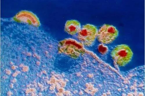 美国单日新增新冠肺炎超7.4万例，美国为何防不住疫情？