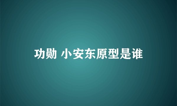 功勋 小安东原型是谁