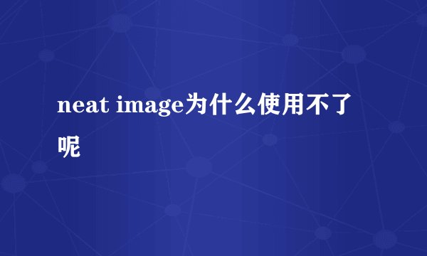 neat image为什么使用不了呢