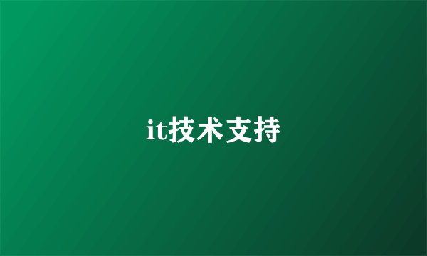 it技术支持
