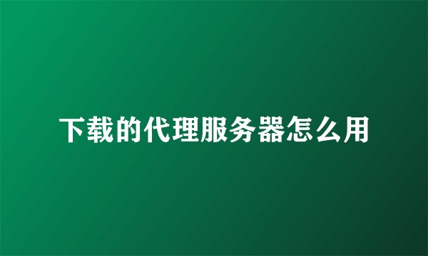 下载的代理服务器怎么用
