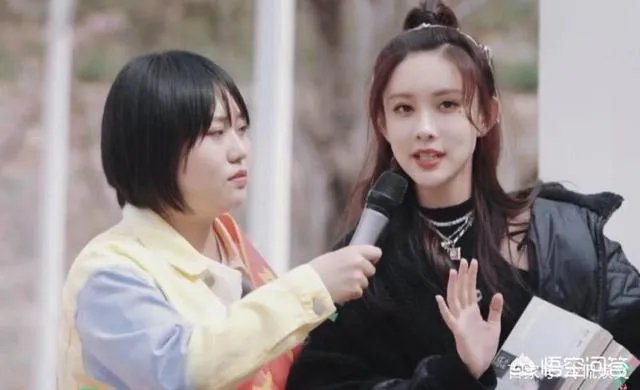 所有节目惨被停播，拒改国籍的“毒舌”金星，到底得罪了谁？