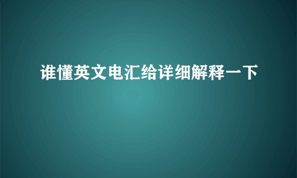 谁懂英文电汇给详细解释一下