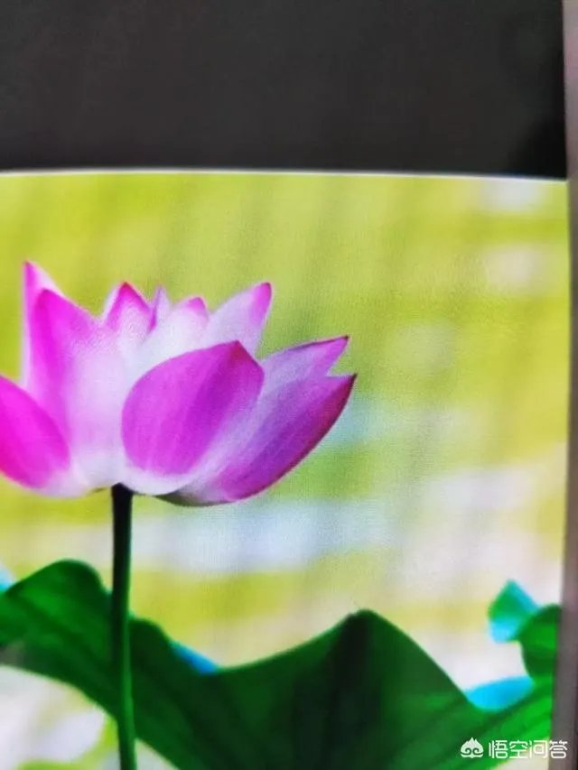 中国歌唱家有哪些？