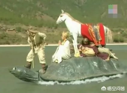 龟壳可以防御子弹吗