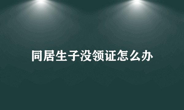 同居生子没领证怎么办