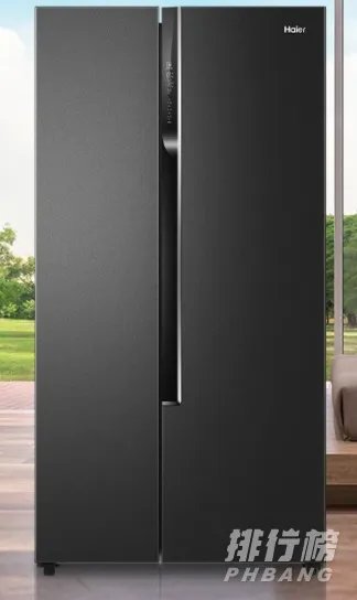 国内哪些电冰箱质量好_国内电冰箱质量排行榜