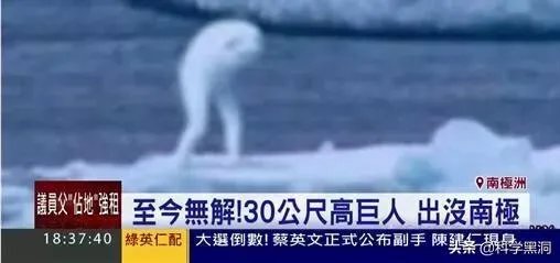 南极洲发现的神秘物种ningen真的存在吗？