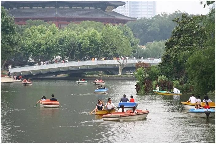 郑爽手机掉湖里，你觉得划船是否不应该玩手机？