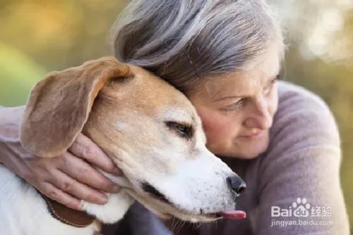 相互拥抱的六个好处