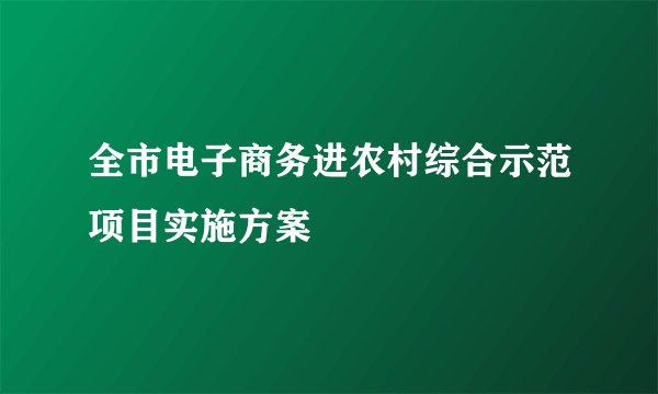 全市电子商务进农村综合示范项目实施方案